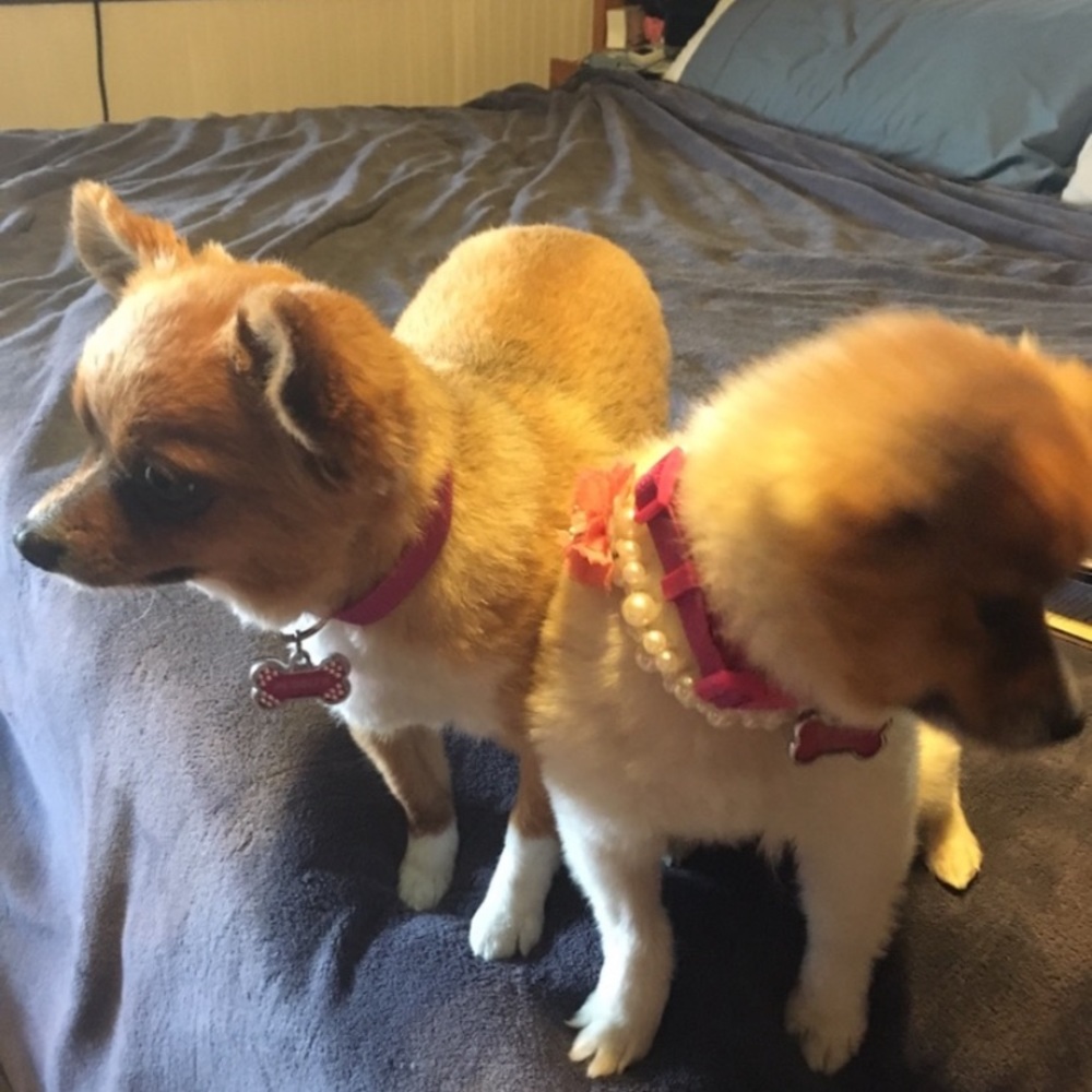 Meet your Posher, Carla